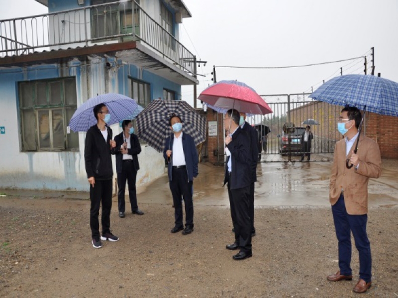 石家庄市工业和信息化局党组书记,局长刘生彦及有关负责同志陪同调研.